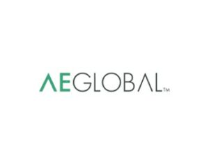 A.E. Global's B2B eCommerce platform powered by Cloudfy with NetSuite integration