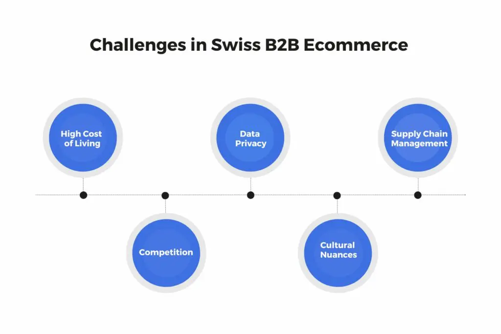 Challenges in Swiss B2B Ecommerce